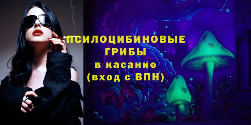 blacksprut онион  Керчь  Галлюциногенные грибы Magic Shrooms 